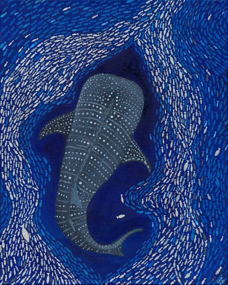 A spotted whale shark turns slowly through dark navy water at the centre of an enormous swirling vortex made of thousands of tiny silver and blue baitfish. The school curls in wide spiral currents around the shark, opening into pools of deep blue where the water shows through.