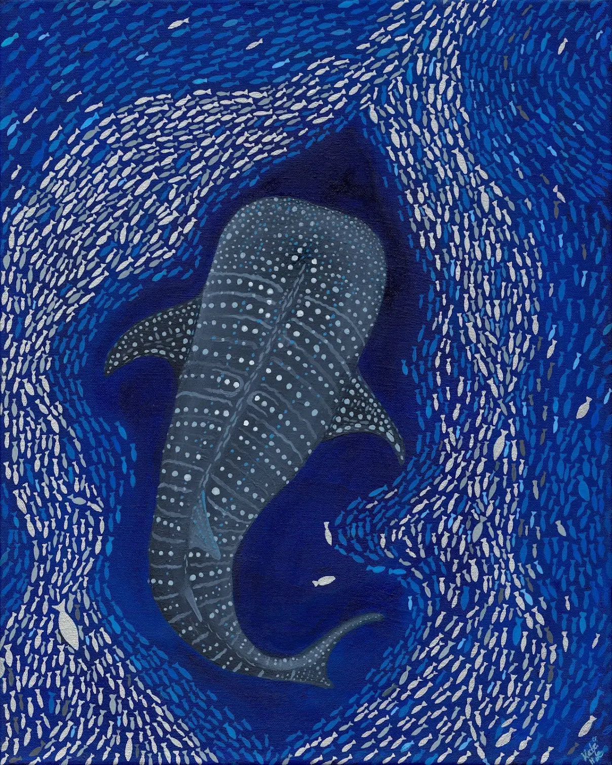A spotted whale shark turns slowly through dark navy water at the centre of an enormous swirling vortex made of thousands of tiny silver and blue baitfish. The school curls in wide spiral currents around the shark, opening into pools of deep blue where the water shows through.